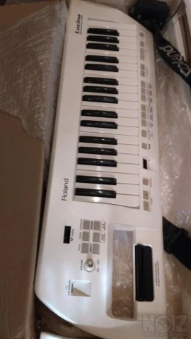 Roland lucina AX09
