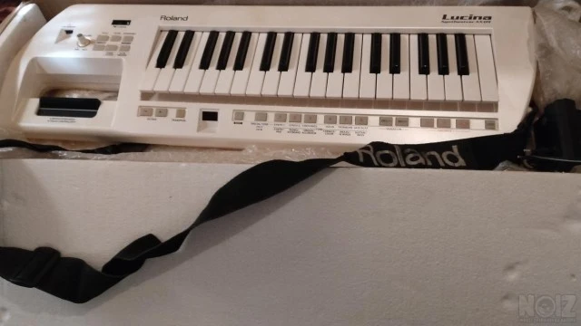 Roland lucina AX09