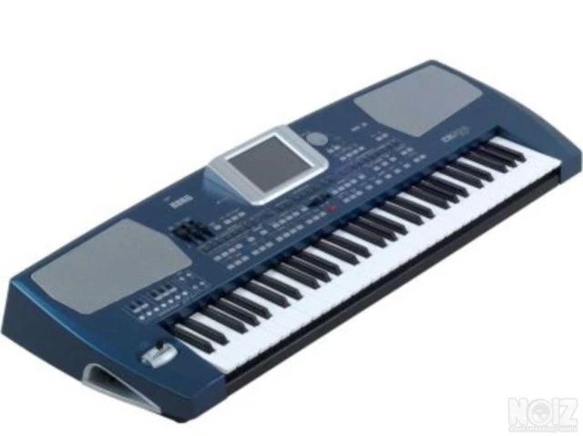 Korg pa 500 ort