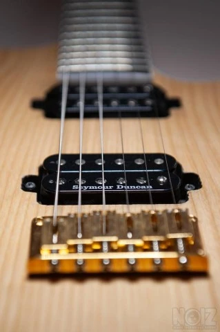Feline Panther BlackMachine B6
