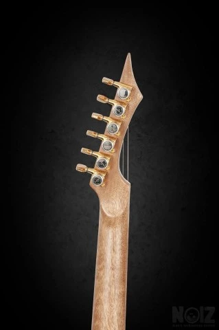 Feline Panther BlackMachine B6