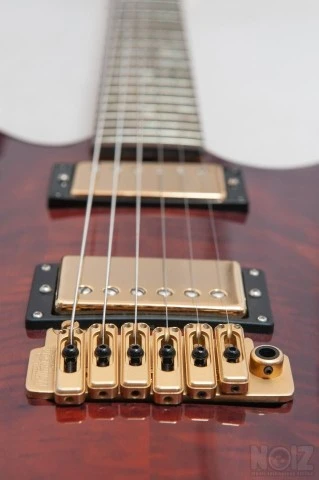 Brian Moore C55 USA Custom