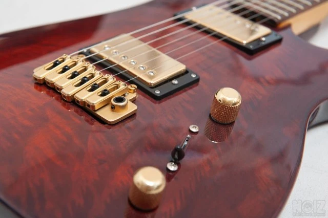 Brian Moore C55 USA Custom