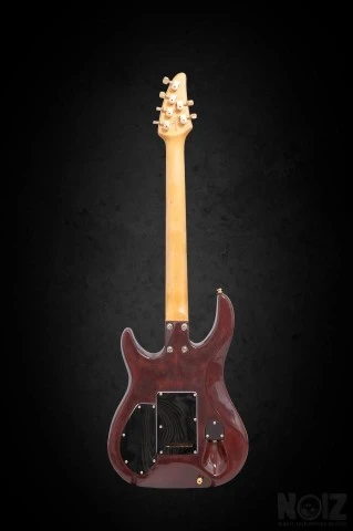 Brian Moore C55 USA Custom