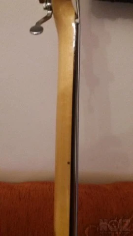 Fender presicion bass fretless 1977