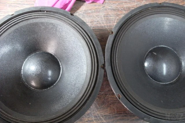 Μεγάφωνα 12''