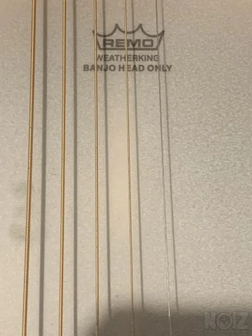 Banjo MASTRO με θήκη