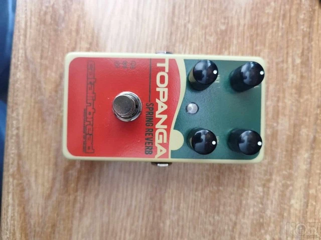 Catalinbread Topanga / Spring Reverb