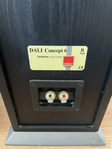 Dali Concept 6