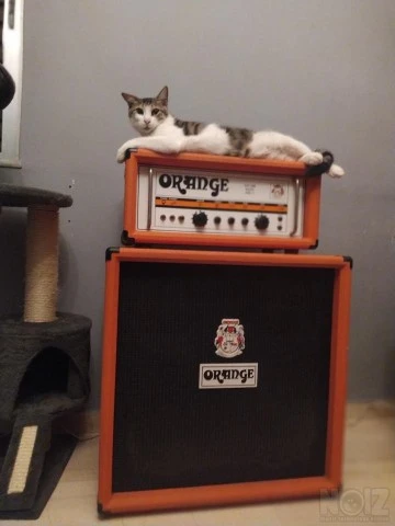 Orange AD200b + obc410 halfstack