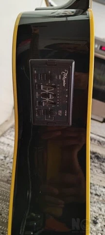 Takamine EG531SC-12