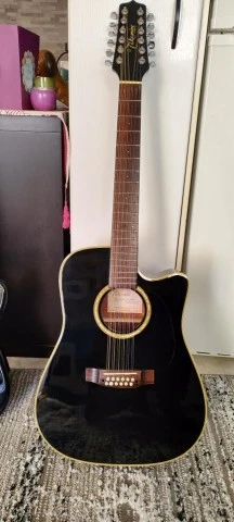 Takamine EG531SC-12