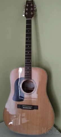 Washburn  D10SLH  για αριστεροχειρες