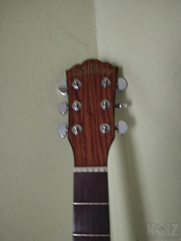 Washburn D46S