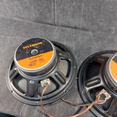 Νεα τιμη μεγαφωνα 12 ιν Selenium 12pw3-s