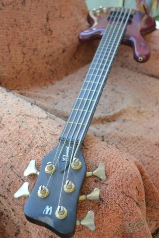Warwick LX Streamer 5