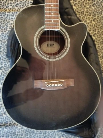 Guitar+Θήκη