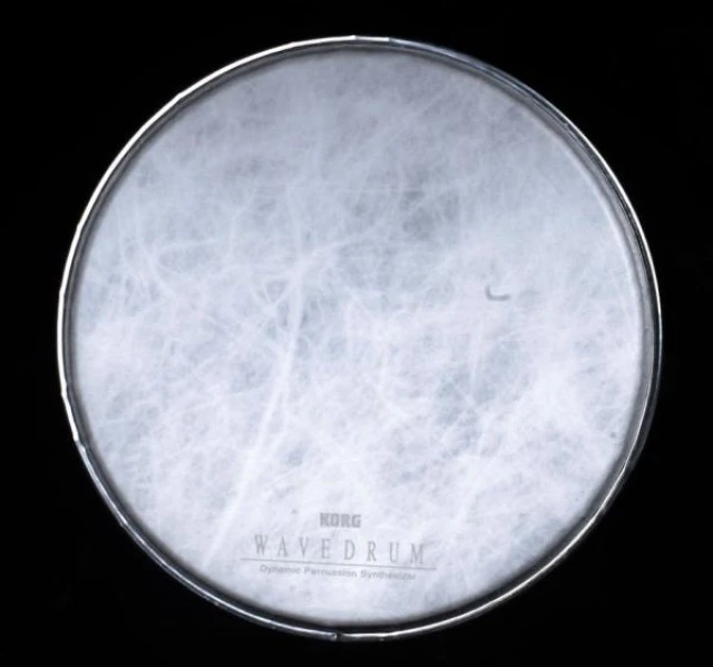 Korg Wavedrum Head