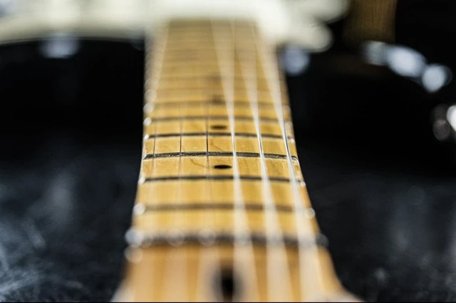 Fender Stratocaster Plus 1995