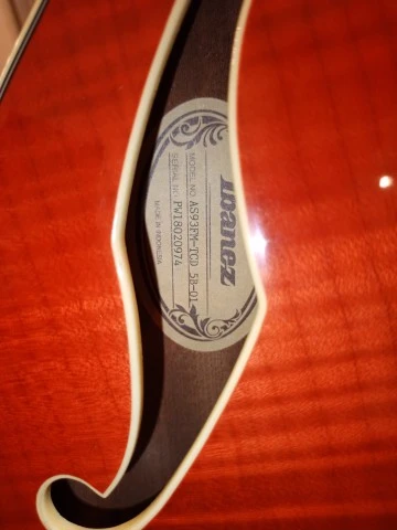 Ibanez AS93