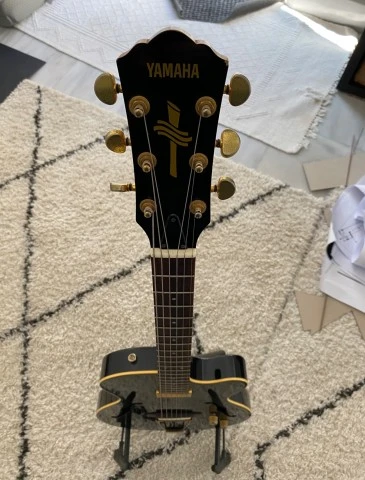 Yamaha AEX-500 Hybrid Acoustic