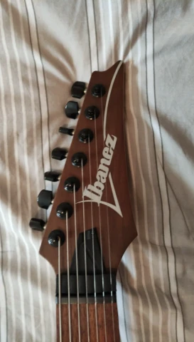 Ibanez 7421 modded 