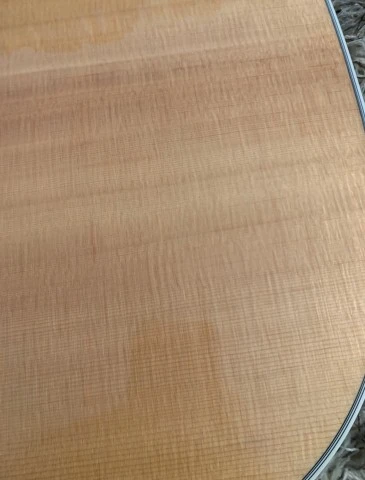 Martin D-16RGT