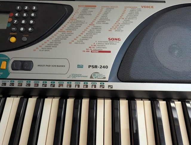 PSR 240