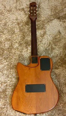 Godin steel duet 