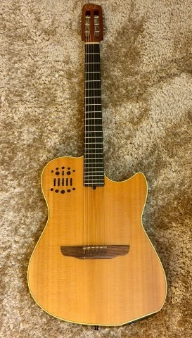 Godin steel duet 