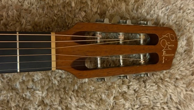 Godin steel duet 