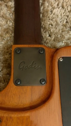 Godin steel duet 