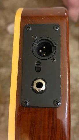 Godin steel duet 
