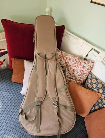 Taylor GS Mini Gig Bag