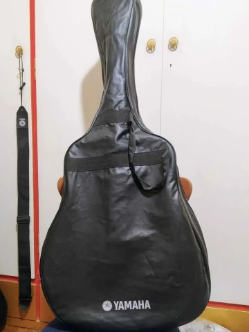 Yamaha Acoustic F-310P + θήκη