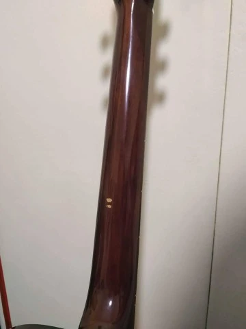 Yamaha Acoustic F-310P + θήκη