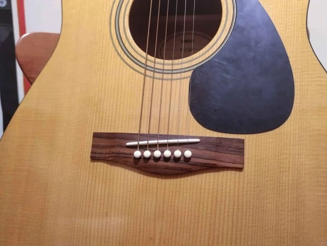 Yamaha Acoustic F-310P + θήκη