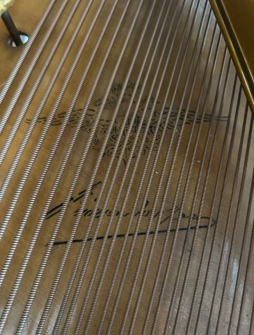 Πιάνο Bösendorfer με ουρά