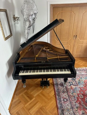 Πιάνο Bösendorfer με ουρά