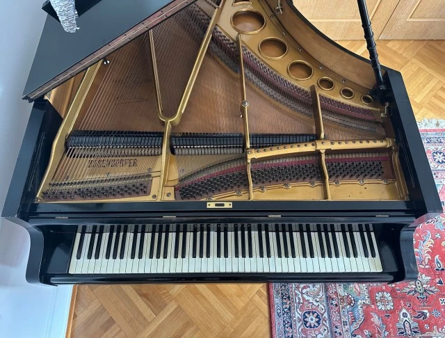 Πιάνο Bösendorfer με ουρά