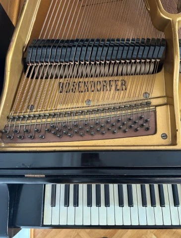 Πιάνο Bösendorfer με ουρά