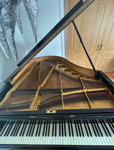 Πιάνο Bösendorfer με ουρά