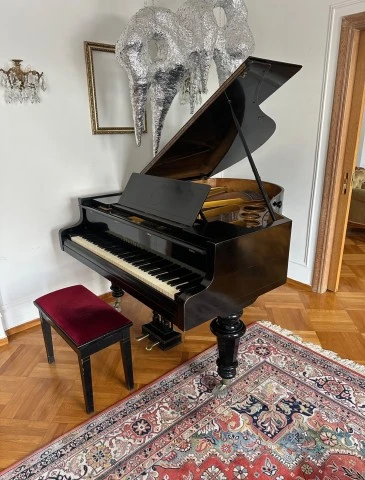Πιάνο Bösendorfer με ουρά