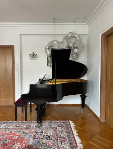Πιάνο Bösendorfer με ουρά