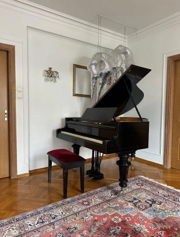Πιάνο Bösendorfer με ουρά