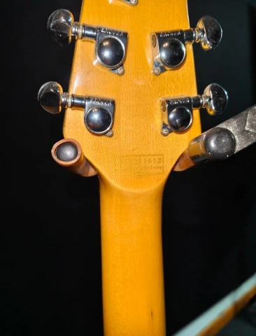 Schecter Ultracure signature