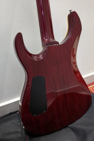 Vantage Designed by Bernie Rico (B.C. Rich)