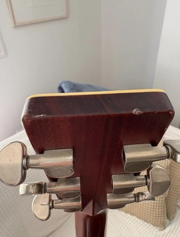 Ηλεκτροακουστική Tanglewood TW-55 NS (Πε
