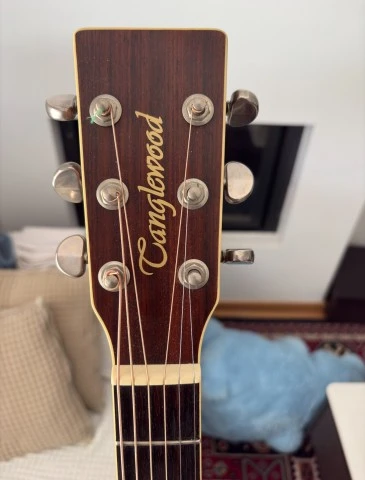 Ηλεκτροακουστική Tanglewood TW-55 NS (Πε