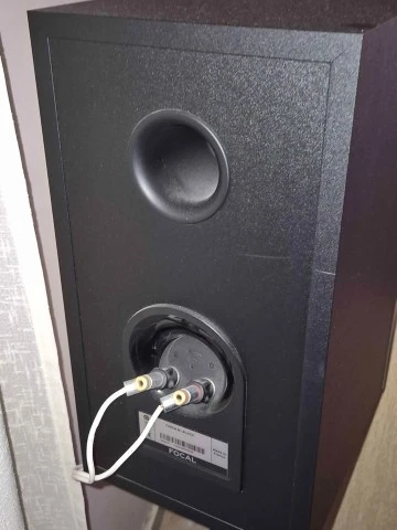 Focal Theva N1 